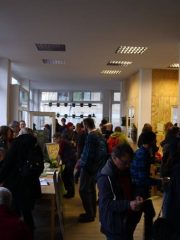 26239110_386825631775377_7028646867327404567_n